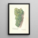 Reproduktion des Gemäldes Vitis Muscat St - Amanda Almira Newton