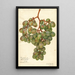 Vitis Muscat d'Alexandrie - Amanda Almira Newton — gerahmtes Bild an der Wand