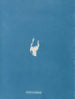 Calothrix distortiona - Anna Atkins — Ansicht des Kunstwerks