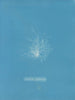 Keramik-Gemälde transparent - Anna Atkins — Ansicht des Kunstwerks
