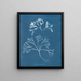 Knorpel der Brustwarze - Anna Atkins — gerahmtes Bild an der Wand
