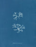 Chondrus norvegicus - Anna Atkins — Ansicht des Kunstwerks
