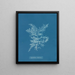 Chylocladia califormis - Anna Atkins — gerahmtes Bild an der Wand
