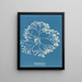 Chylocladia ovalis - Anna Atkins — gerahmtes Bild an der Wand