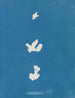 Adhärenz an den Code - Anna Atkins — Ansicht des Kunstwerks