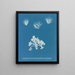 Conferva arcta die drei oberen Exemplare im jungen Zustand - Anna Atkins — gerahmtes Bild an der Wand