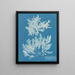 Delesseria sinuosa marge ciliée a du fruit - Anna Atkins — gerahmtes Bild an der Wand