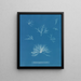 Delesseria hypoglossum in den Früchten - Anna Atkins — gerahmtes Bild an der Wand