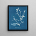 Delesseria sanguinea en fruit - Anna Atkins — gerahmtes Bild an der Wand