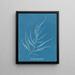 Desmarestia aculeata junges Stadium - Anna Atkins — gerahmtes Bild an der Wand