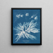 Dictyota dichotoma im jungen und fruchtbaren Zustand - Anna Atkins — gerahmtes Bild an der Wand