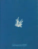 Ectocarpus fasciculatus - Anna Atkins — Ansicht des Kunstwerks