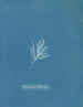 Ectocarpus littoralis - Anna Atkins — Ansicht des Kunstwerks