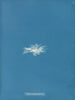 Enteromorpha clathrata - Anna Atkins — Ansicht des Kunstwerks
