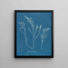 Bourdon tuberculeux - Anna Atkins — gerahmtes Bild an der Wand