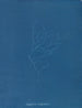 Gigartina Griffithsiae - Anna Atkins — Ansicht des Kunstwerks