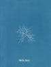 C'est à toi - Anna Atkins — Ansicht des Kunstwerks