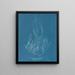 Gigartina acicularis - Anna Atkins — gerahmtes Bild an der Wand