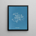 Gigartina pistillata - Anna Atkins — gerahmtes Bild an der Wand