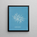 Griffithsia equisetifolia - Anna Atkins — gerahmtes Bild an der Wand