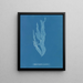 Halymenia ligulata var. ramentacea - Anna Atkins — gerahmtes Bild an der Wand