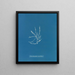 Helminthocladia vermicularis - Anna Atkins — gerahmtes Bild an der Wand