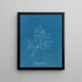Laurencia pinnatifida en angusta - Anna Atkins — gerahmtes Bild an der Wand