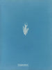 Lyngbya flacca - Anna Atkins — Ansicht des Kunstwerks