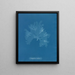 Nitophyllum Gmeleni - Anna Atkins — gerahmtes Bild an der Wand