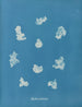 Nostoe commune - Anna Atkins — Ansicht des Kunstwerks