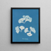 Padina Pavonia - Anna Atkins — gerahmtes Bild an der Wand