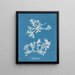 Phyllophora rubens - Anna Atkins — gerahmtes Bild an der Wand