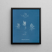 Polysiphonia fructiculosa - Anna Atkins — gerahmtes Bild an der Wand