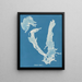 Porphyra vulgaris - Anna Atkins — gerahmtes Bild an der Wand