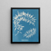 Sargasses plumeuses - Anna Atkins — gerahmtes Bild an der Wand