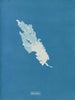 Ulva linza - Anna Atkins — Ansicht des Kunstwerks