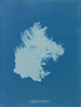 Zygnema courbé - Anna Atkins — Ansicht des Kunstwerks