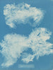 Dîmes de Zygnema - Anna Atkins — Ansicht des Kunstwerks