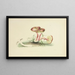 Illustrationen der britischen Mykologie Pl05 - Anna Maria Hussey — gerahmtes Bild an der Wand