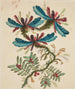 Fleurs fantastiques - Anne Allen — Ansicht des Kunstwerks