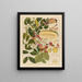 Chinesisches Obst-Aquarell-Album Gemälde Pl01 - Anonym — gerahmtes Bild an der Wand