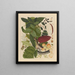 Chinesisches Obst-Aquarell-Album Gemälde Pl07 - Anonym — gerahmtes Bild an der Wand