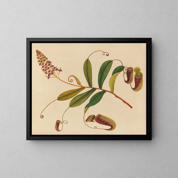 Asiatisches Obst- und Blumen-Aquarell-Album Gemälde Pl10 - Anonym — gerahmtes Bild an der Wand