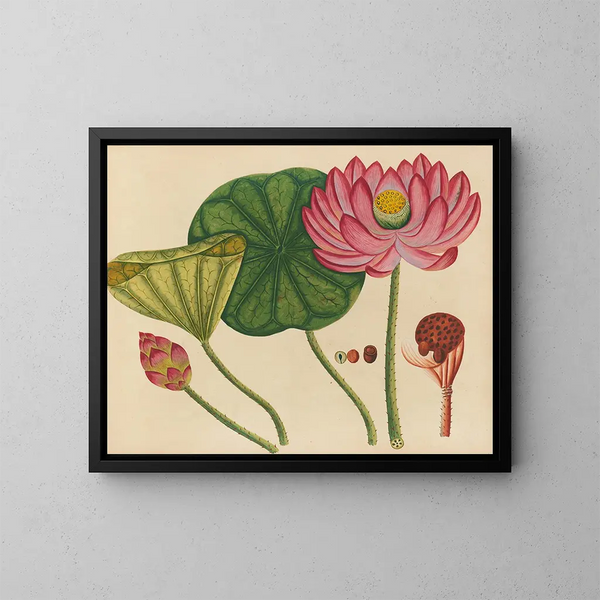 Album de aquarelles de fruits et fleurs asiatiques Pl12 - Anonyme — gerahmtes Bild an der Wand
