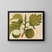 Asiatisches Obst- und Blumen-Aquarell-Album Pl30 - Anonym — gerahmtes Bild an der Wand