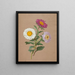 Asters - Anonym — gerahmtes Bild an der Wand