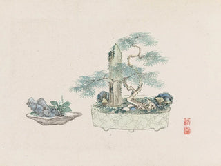 Anonymous - Bonsai kabenzu Pl21.webp