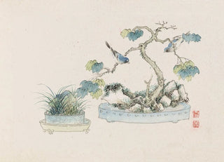 Anonymous - Bonsai kabenzu Pl24.webp