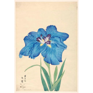 Anonymous - Cloisonne Shippo.webp