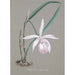 Reproduktion des Gemäldes Sammlung von Orchideen Pl21 - Anonym